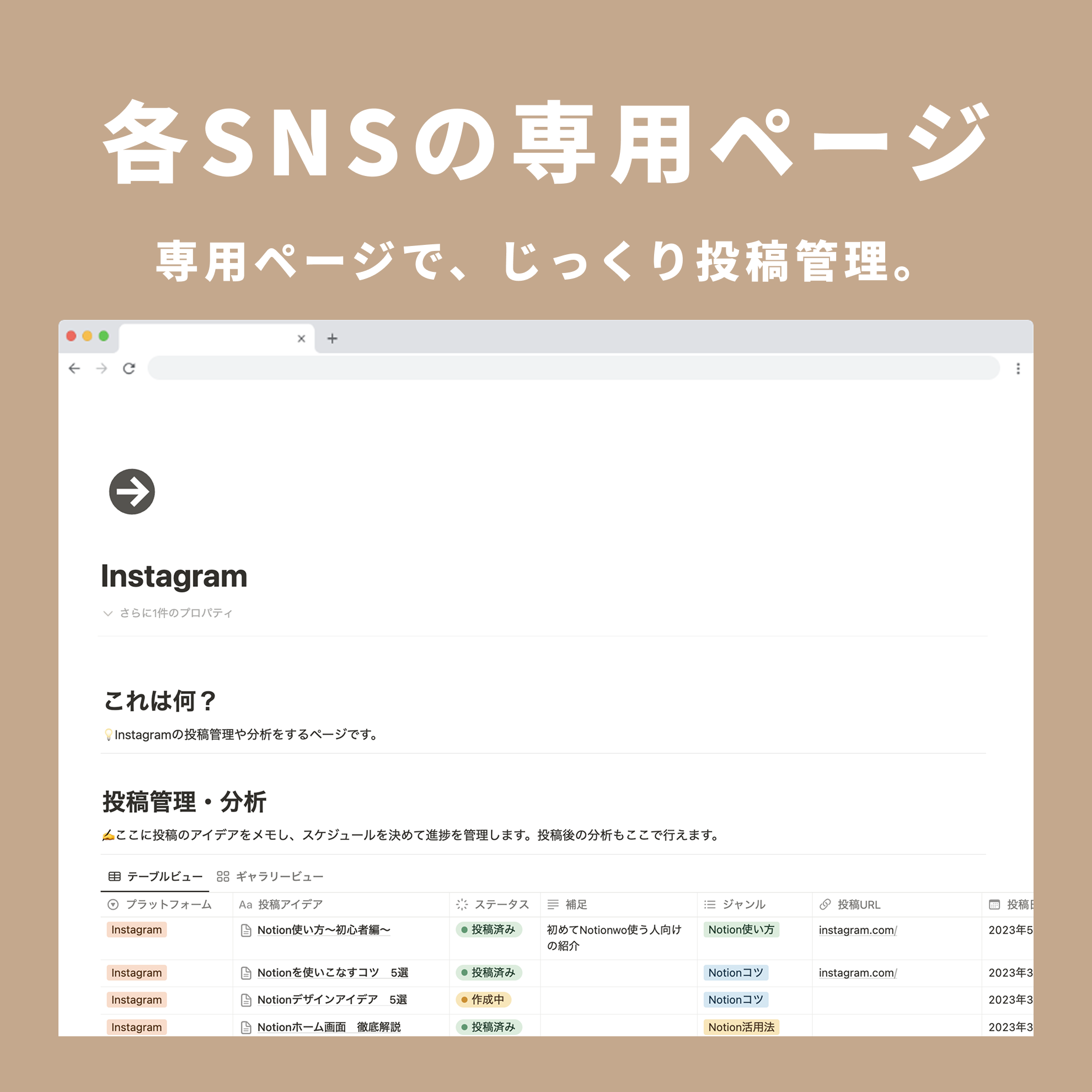 Notion Social Media Planner Template
