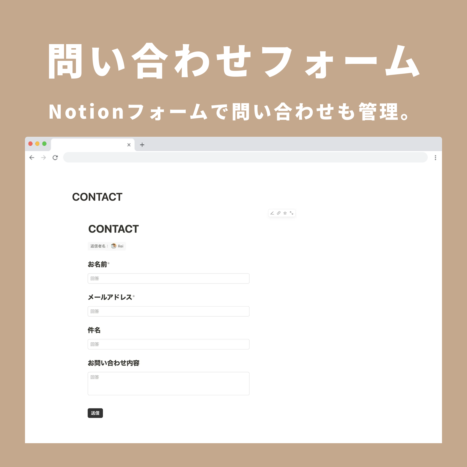 Notion Blog and Website Template